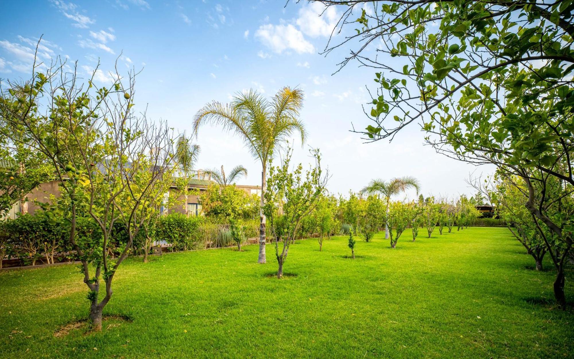 מלון Ouled Moumen The Lemonary Marrakech מראה חיצוני תמונה