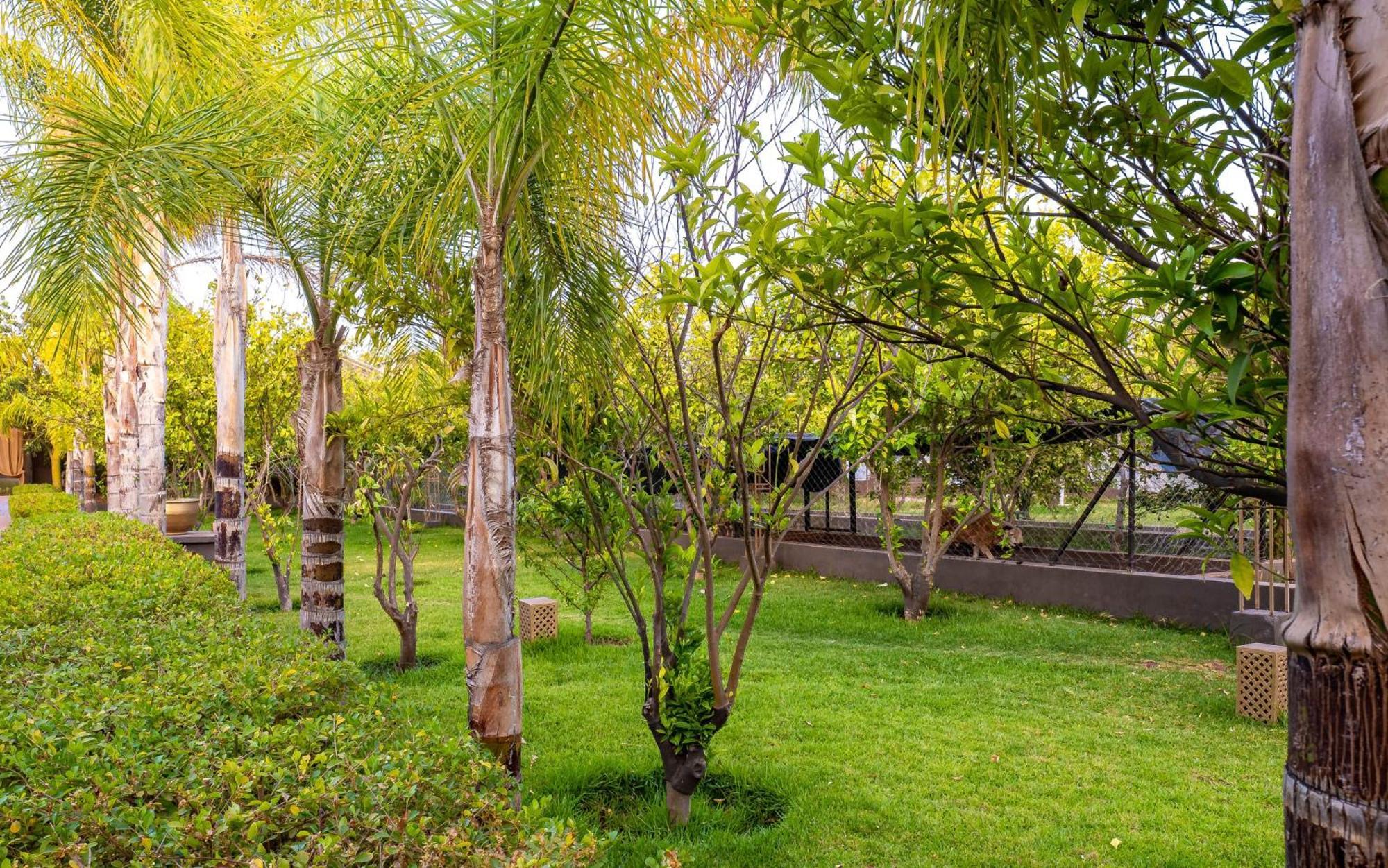 מלון Ouled Moumen The Lemonary Marrakech מראה חיצוני תמונה
